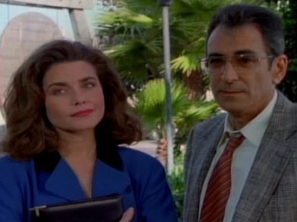 Silk Stalkings - The Last Campaign