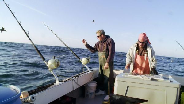 Wicked Tuna - Pirate à la dérive
