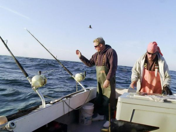Wicked Tuna - Pirate à la dérive