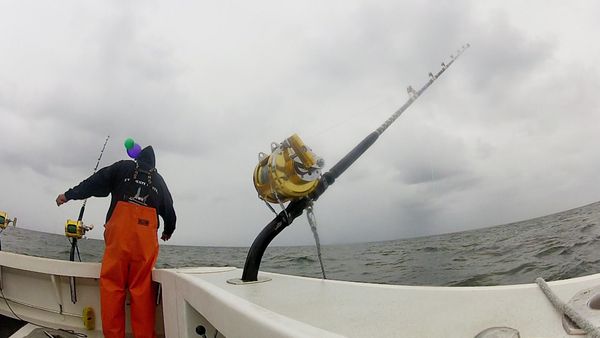 Wicked Tuna - Avis de tempête
