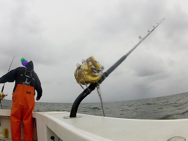 Wicked Tuna - Avis de tempête