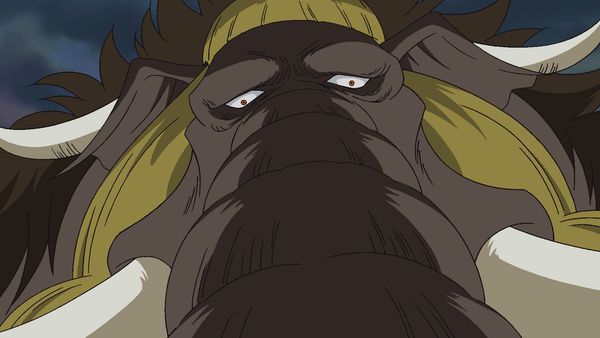One Piece - The King of the Night! Master Cat Viper Emerges!