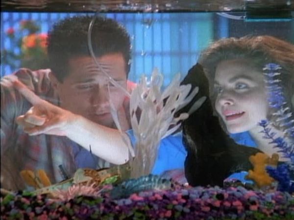 Silk Stalkings - Silk Stalkings: S2 E10 - The Queen Is Dead