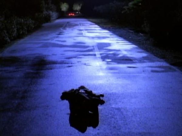 Silk Stalkings - Silk Stalkings: S2 E12 - Jasmine