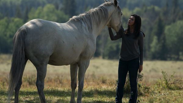 Heartland en español - Todos los corazones llevan a casa