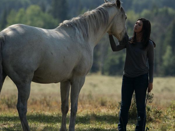 Heartland en español - Todos los corazones llevan a casa