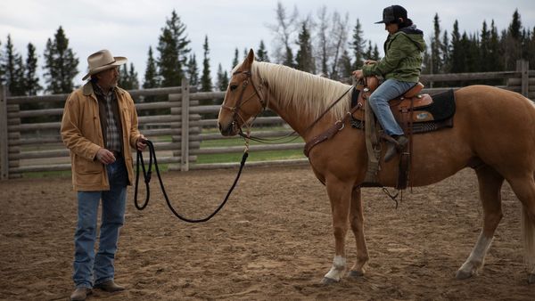 Heartland en español - Serpientes y escaleras