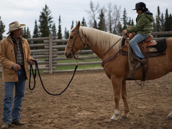 Heartland en español - Serpientes y escaleras