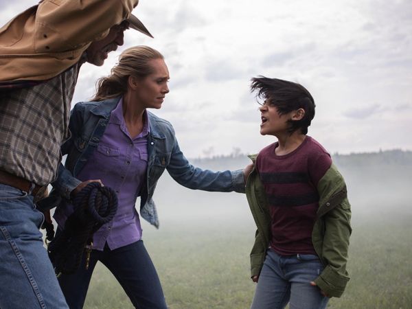 Heartland en español - El ojo de la tormenta