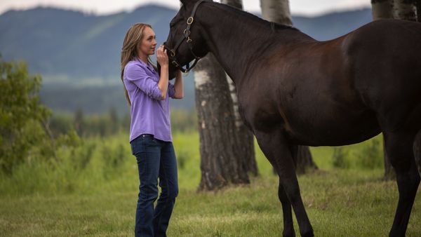 Heartland en español - El arte de la confianza