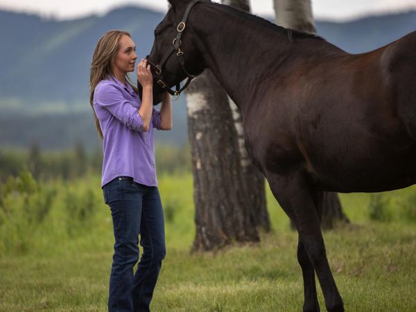 Heartland en español - El arte de la confianza