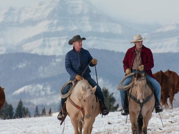 Heartland en español - Cambio de marchas