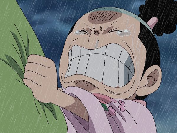 One Piece - A Tearful Promise! The Kidnapped Momonosuke!