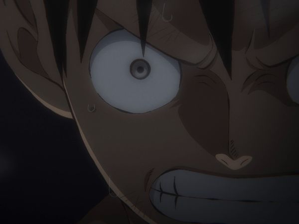 One Piece - Straw Hat Luffy! The Man Who Will Become the King of the Pirates!