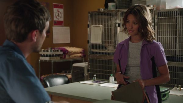Heartland en español - El árbol genealógico