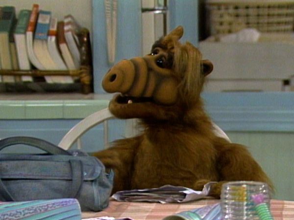 Alf - Wedding Bell Blues