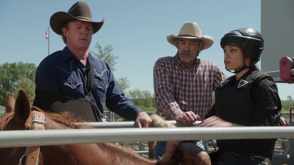 Heartland en español - Montar para una caída
