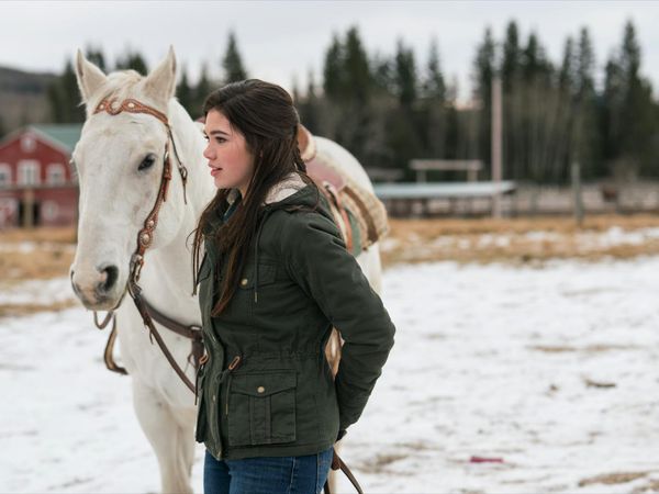 Heartland en español - Expectativa estupendo