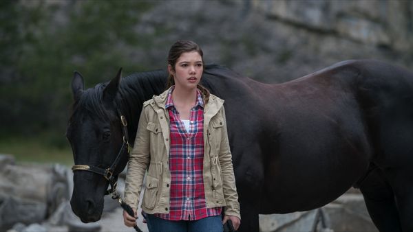 Heartland en español - Un caballo sin jinete