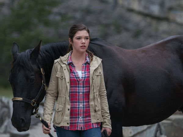 Heartland en español - Un caballo sin jinete