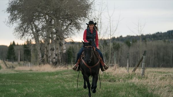 Heartland en español - Bebé a bordo