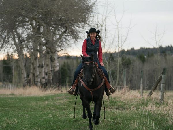 Heartland en español - Bebé a bordo