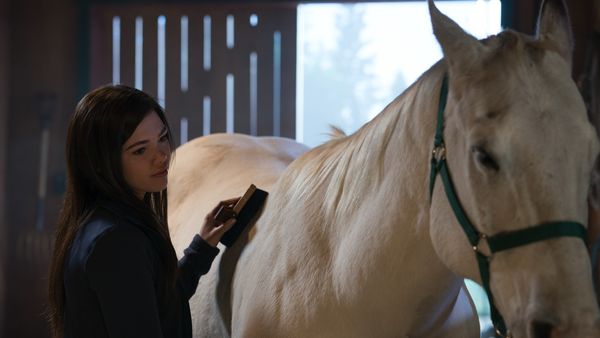 Heartland en español - Un lugar para llamar hogar