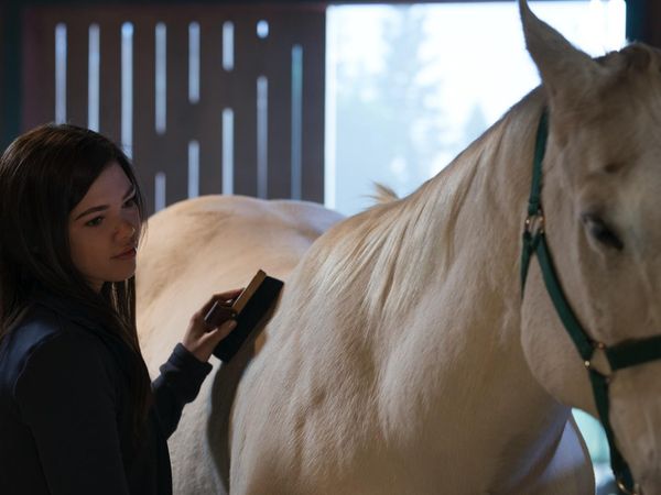 Heartland en español - Un lugar para llamar hogar