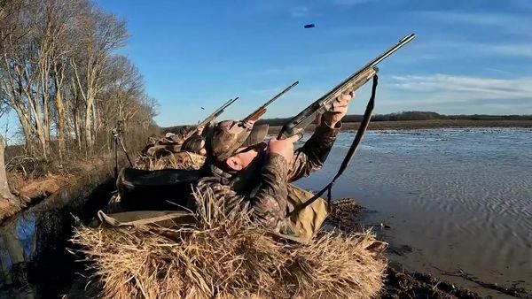 Americana Outdoors - An Arkansas Waterfowl Adventure