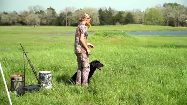 Americana Outdoors - Training Your Hunting Dogs & Whitetail Hunting With Garmin Xero Technology