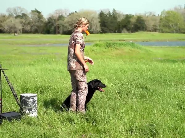 Americana Outdoors - Training Your Hunting Dogs & Whitetail Hunting With Garmin Xero Technology