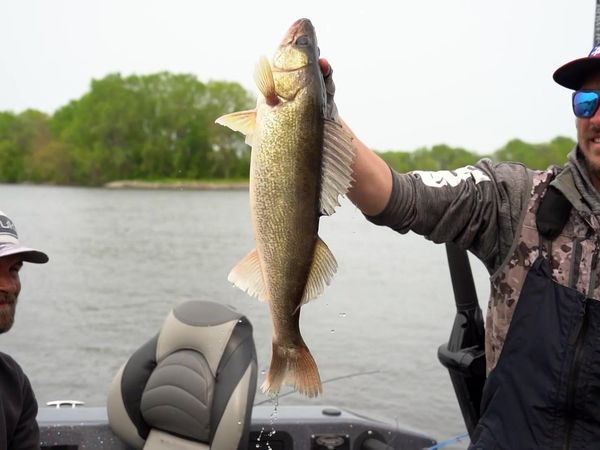 Americana Outdoors - The 6th Annual Turkey Bass Smash Part 2 and The National Walleye Tour From Lake Winnebago