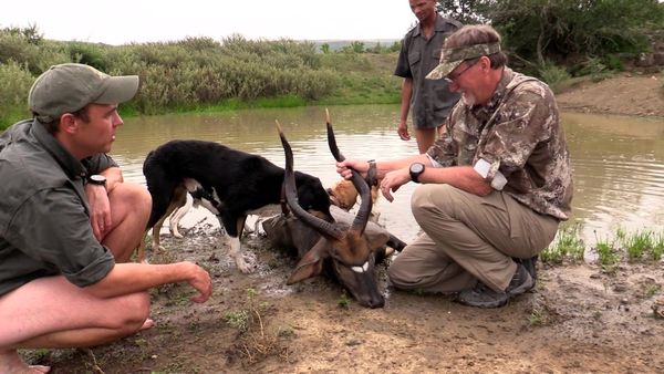 Americana Outdoors - A South African Nyala Archery Hunt