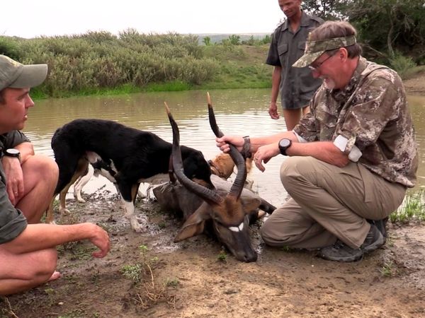 Americana Outdoors - A South African Nyala Archery Hunt