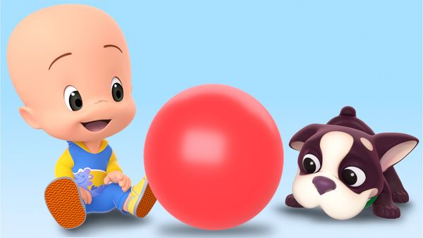 Cuquin - Descubra e Explore - Cleo & Cuquin