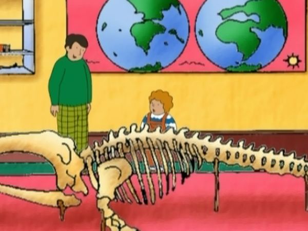Teo II - Teo en el acuarium