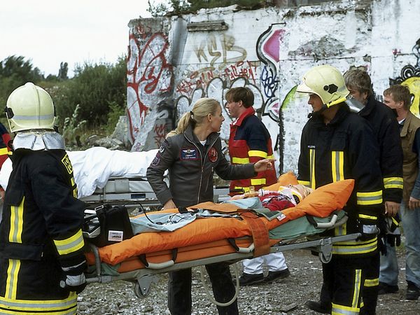 Die Rettungsflieger - Hoch hinaus