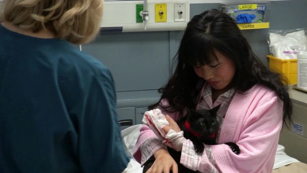 Untold Stories of the E.R. - Raining Cats & Dogs