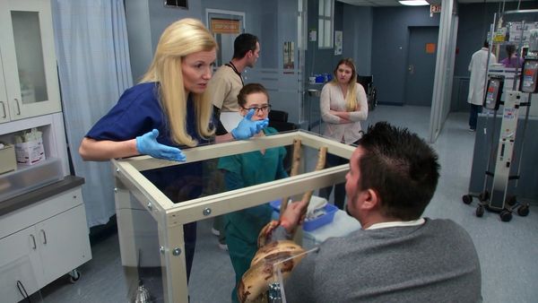 Untold Stories of the E.R. - Bit by a Boa