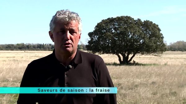 A Table Terroir - À Table Terroir - Épisode 72