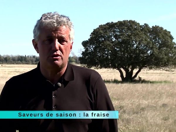 A Table Terroir - À Table Terroir - Épisode 72