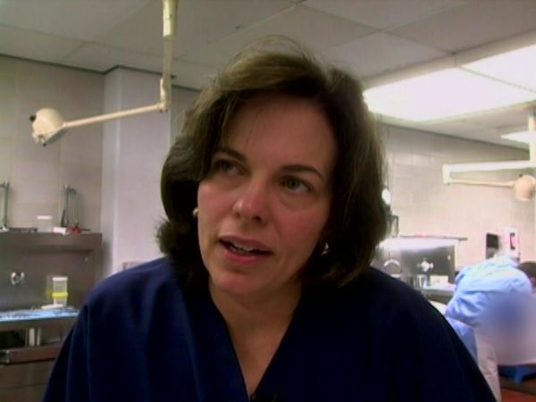 Dr. G: Medical Examiner - Hit and Run