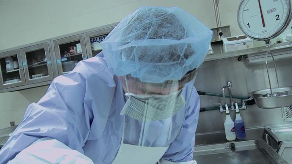 Dr. G: Medical Examiner - Deadly Holiday