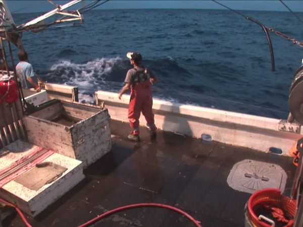 Swords: Life On The Line - What it Takes to be a Fisherman