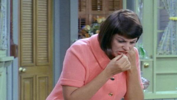 The Mothers-in-Law - Didn’t You Used to Be Ozzie Snick?