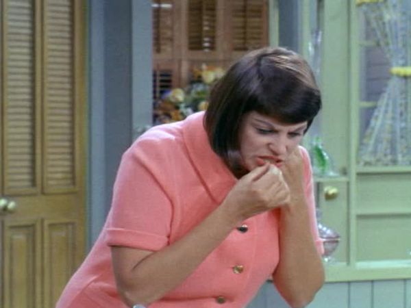 The Mothers-in-Law - Didn’t You Used to Be Ozzie Snick?