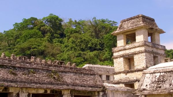 No Luggage - Palenque