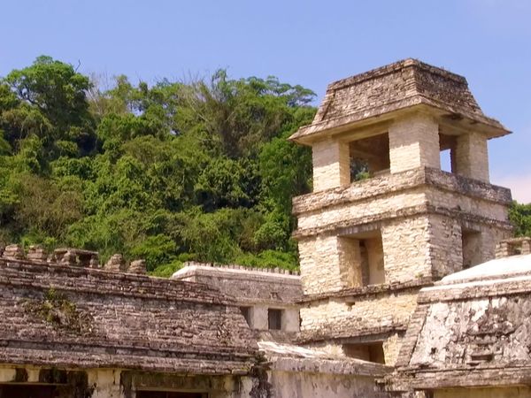 No Luggage - Palenque
