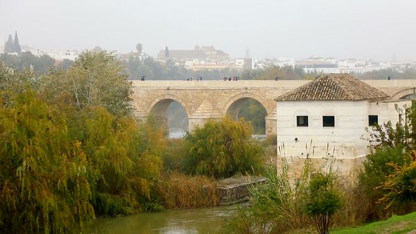 No Luggage - Cordoba