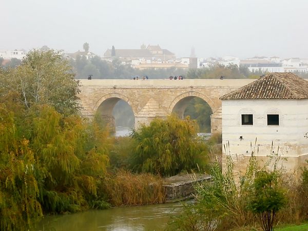 No Luggage - Cordoba